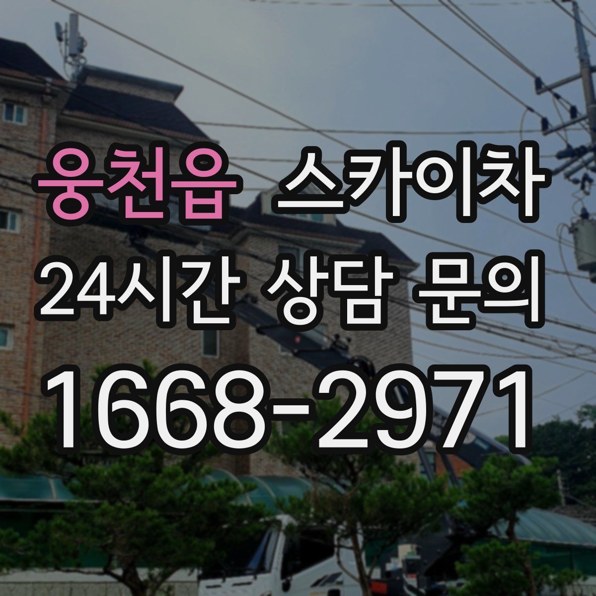 웅천읍 스카이차