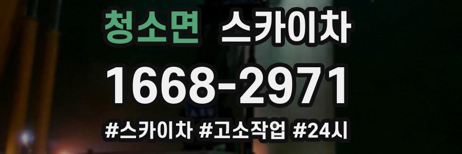 청소면 스카이차