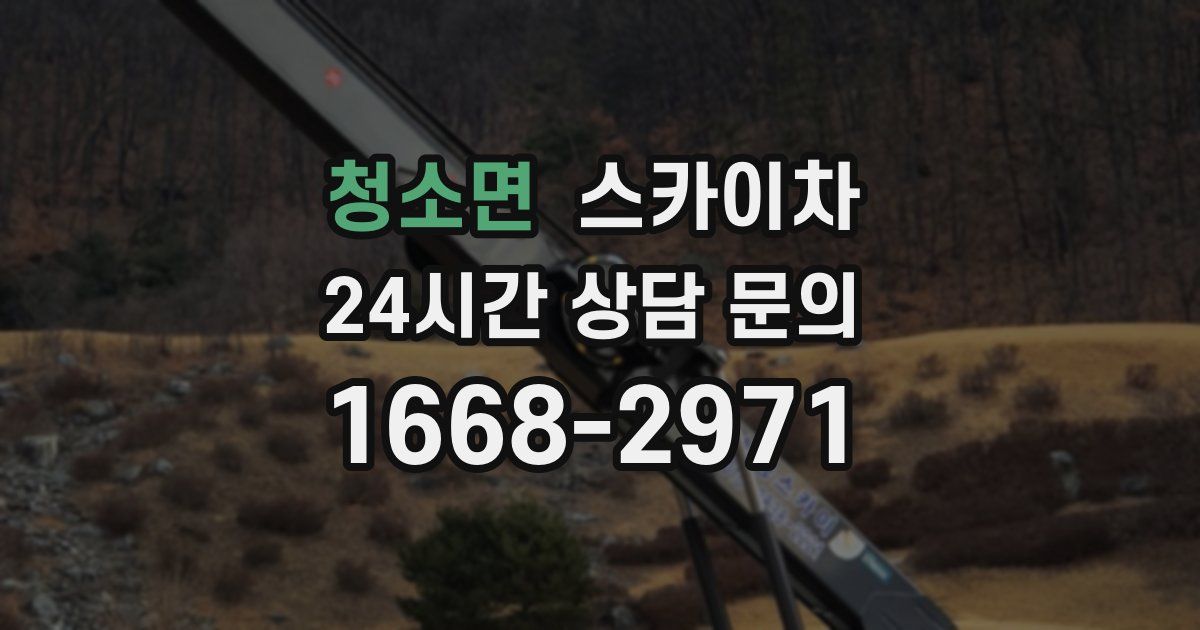청소면 스카이차