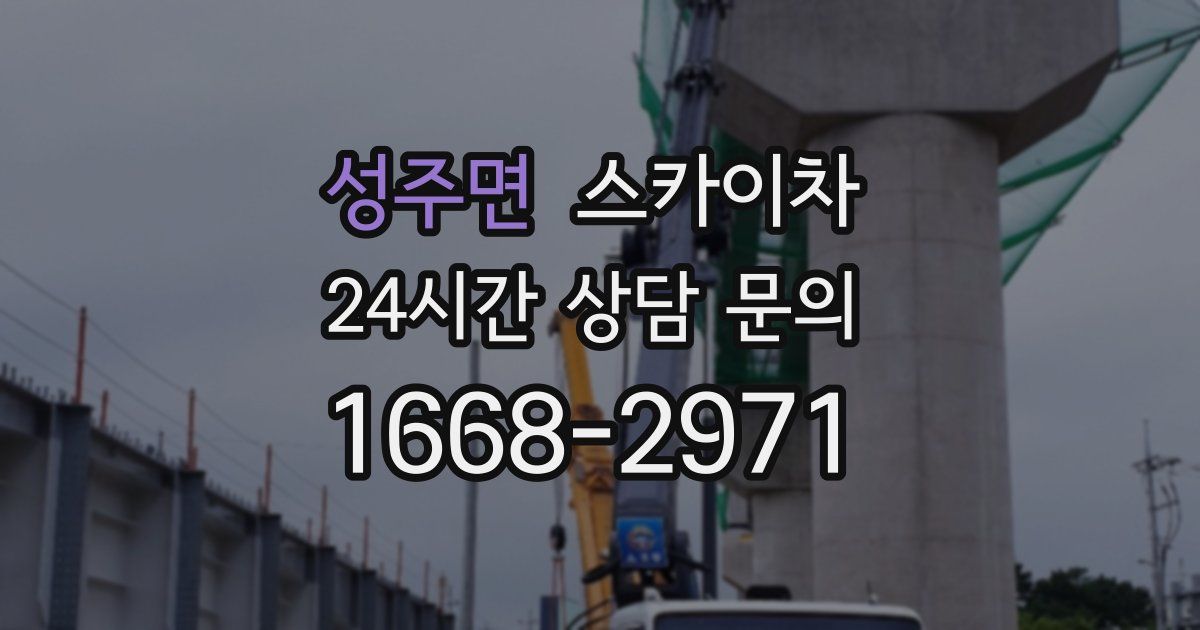 성주면 스카이차
