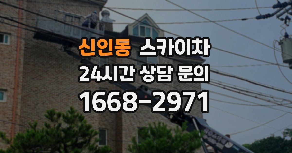 신인동 스카이차