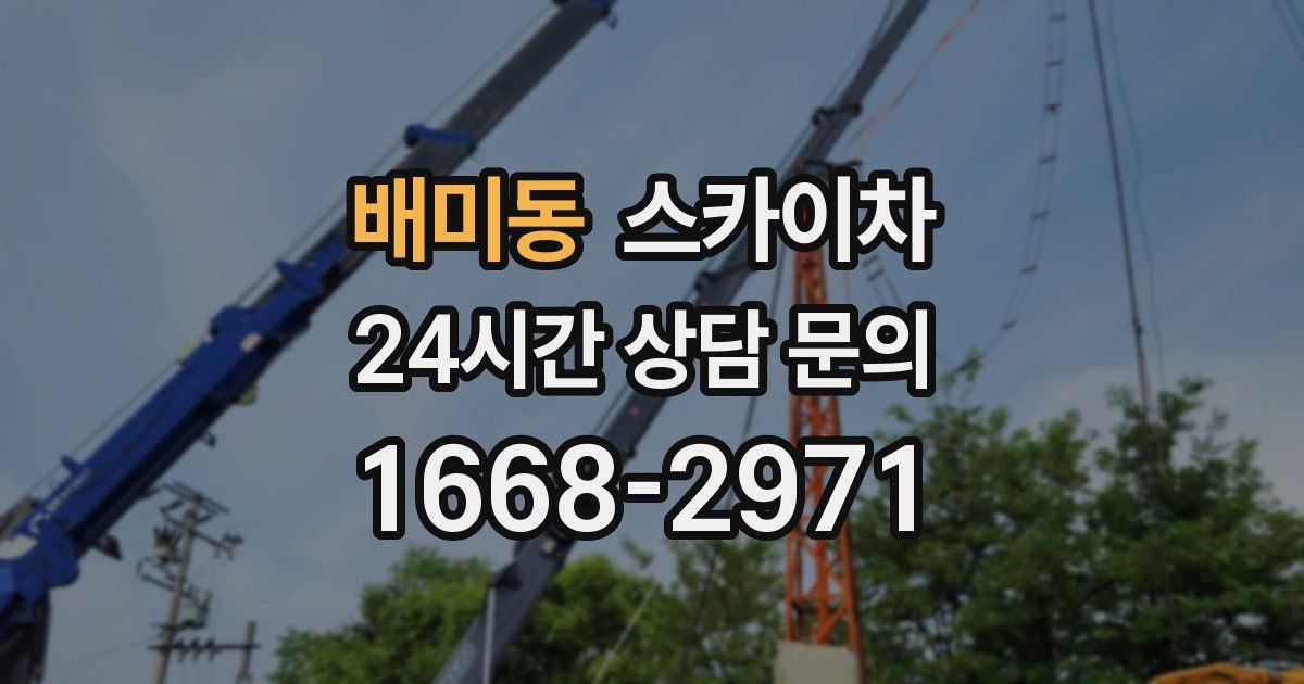 배미동 스카이차