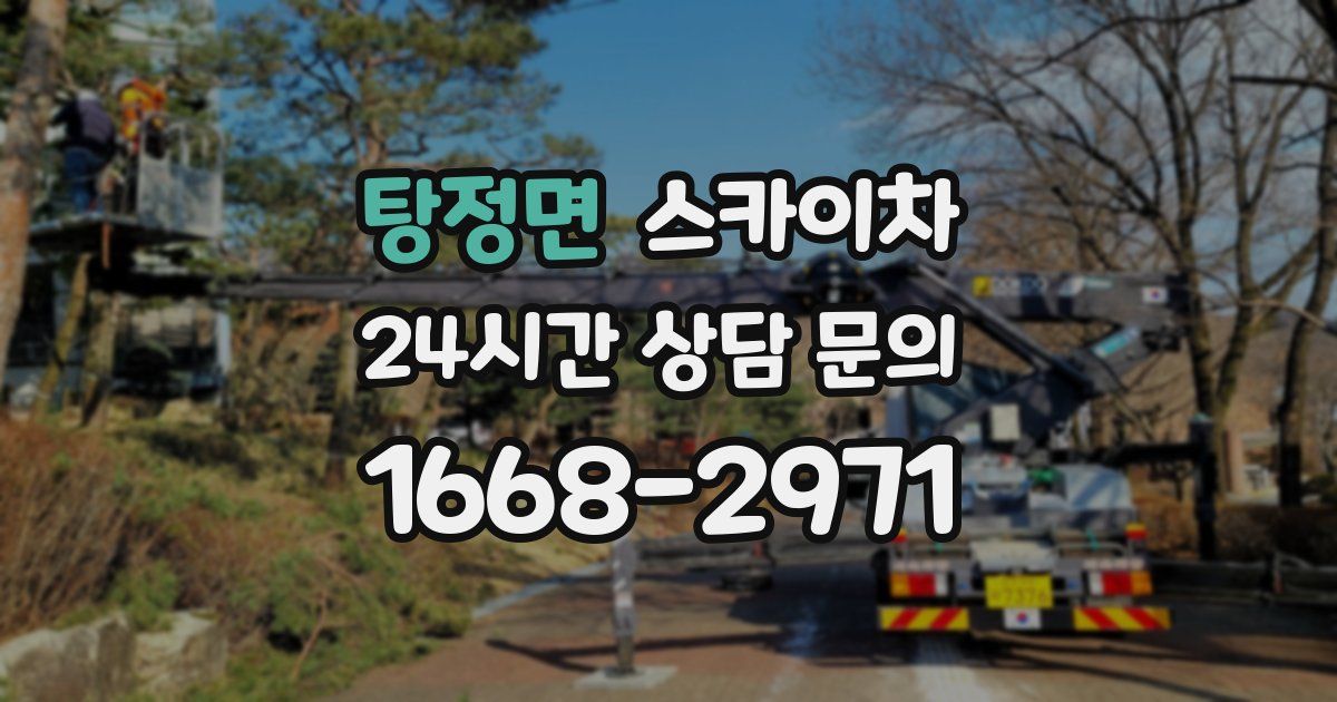 탕정면 스카이차