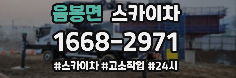 음봉면 스카이차