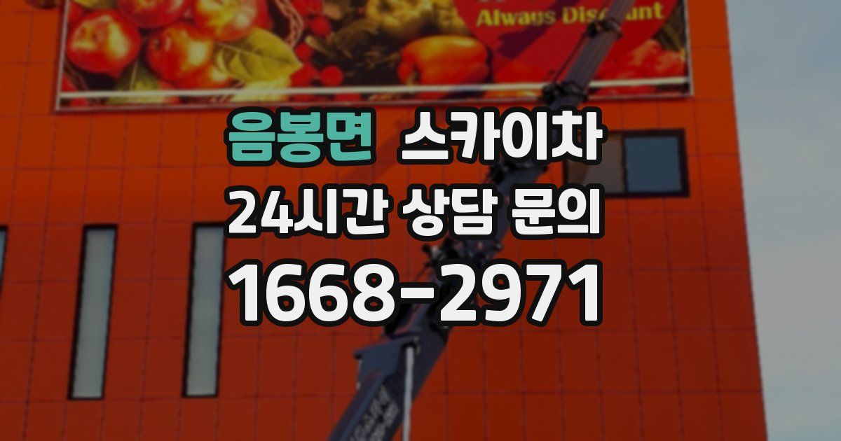 음봉면 스카이차