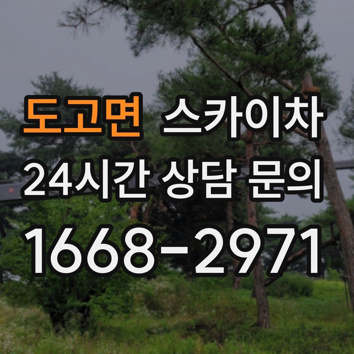 도고면 스카이차 간판 조명 수리 작업을 빠르게