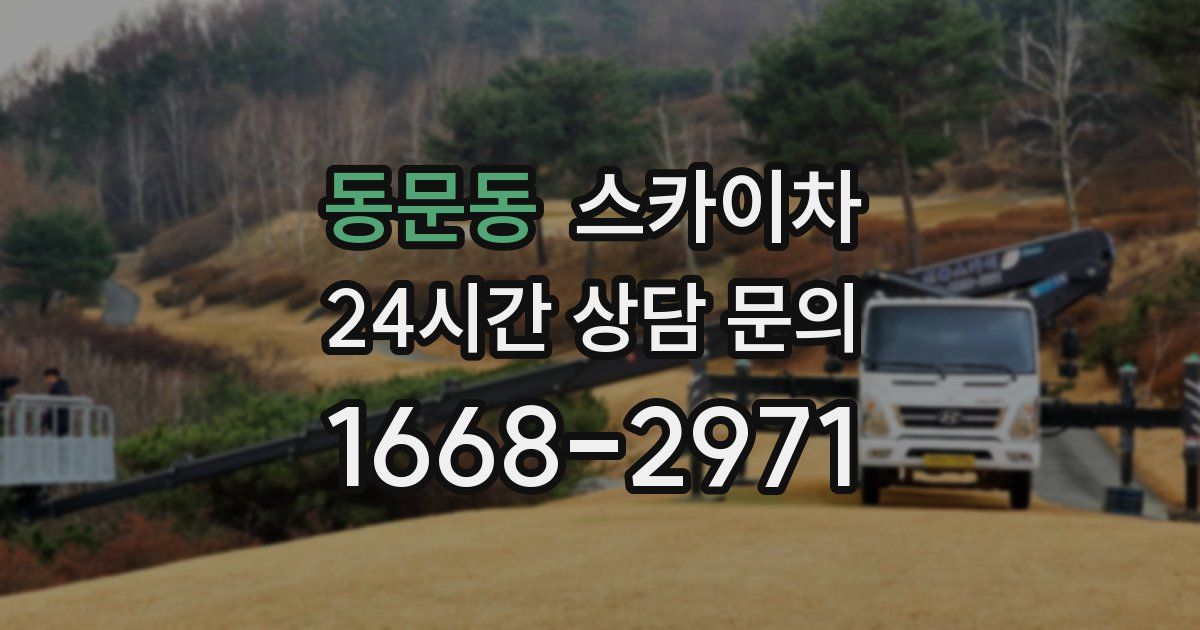 동문동 스카이차