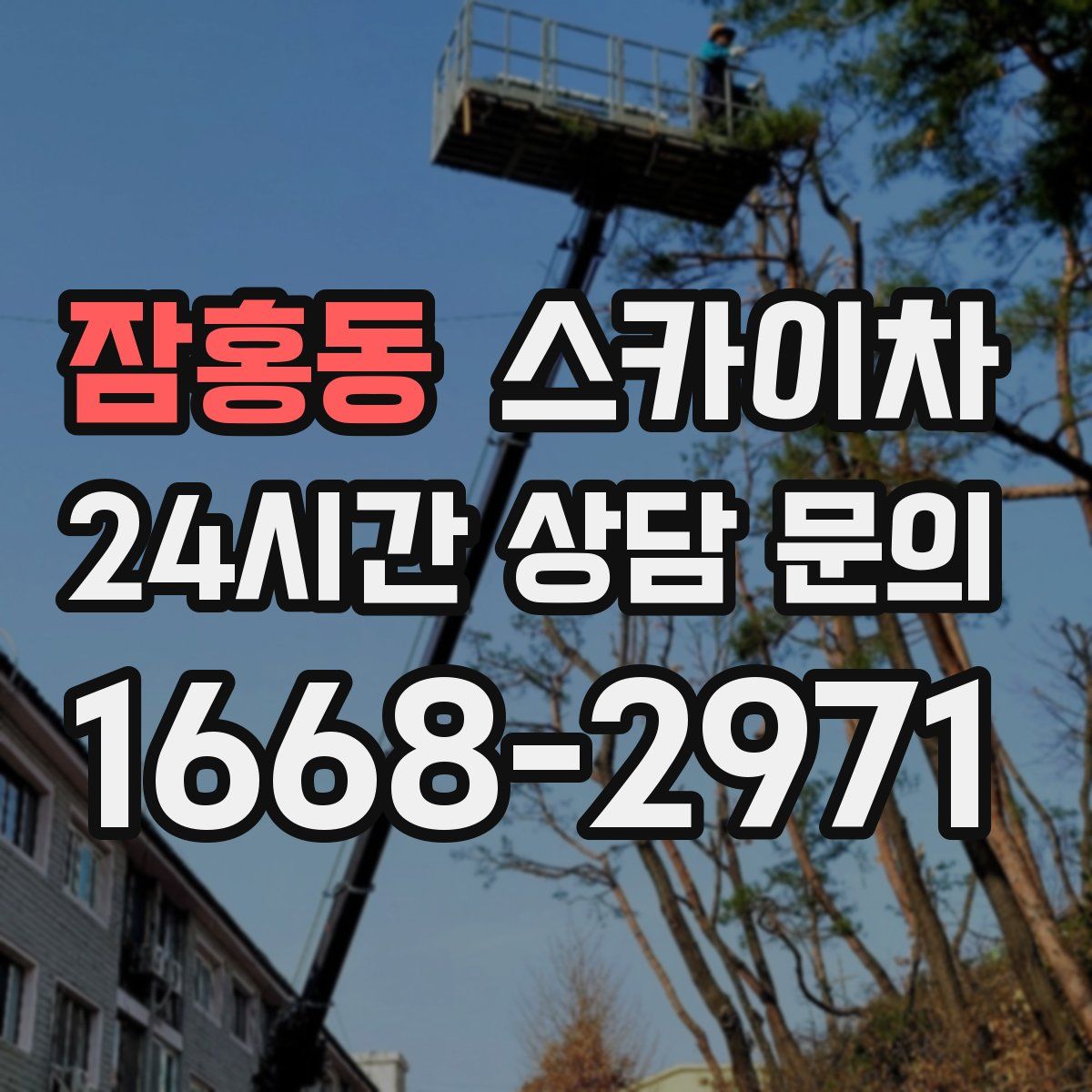 잠홍동 스카이차