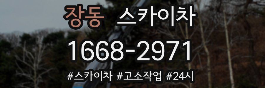 장동 스카이차