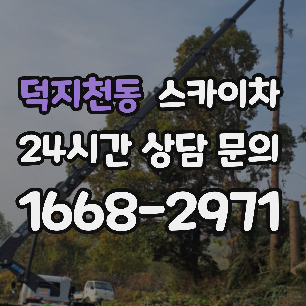 덕지천동 스카이차