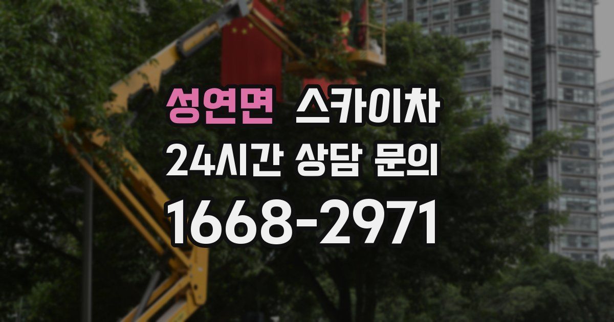 성연면 스카이차