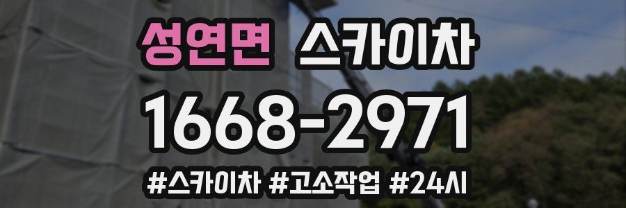 성연면 스카이차