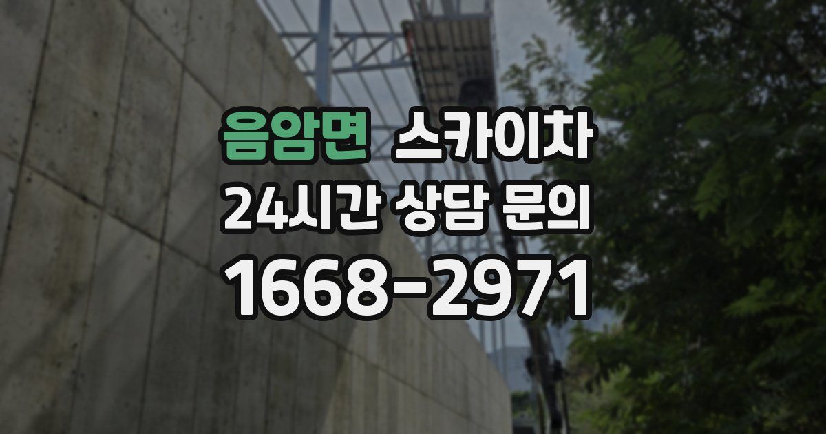 음암면 스카이차