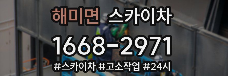 해미면 스카이차