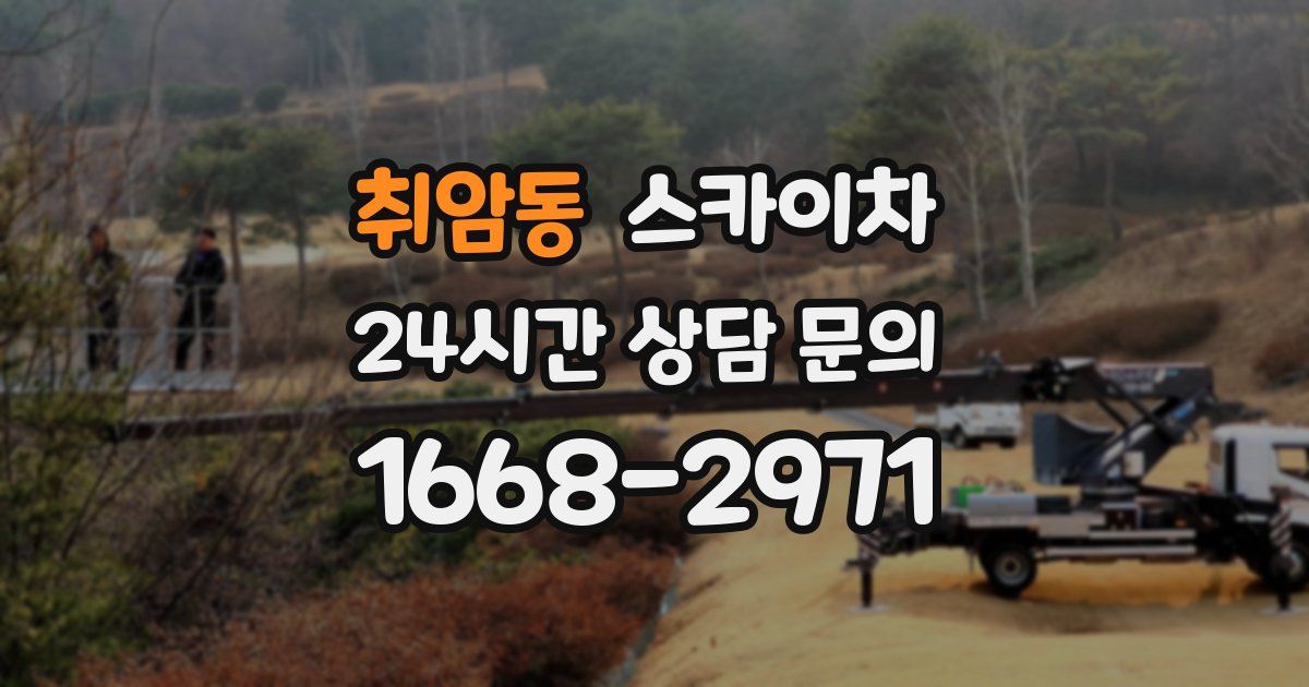 취암동 스카이차