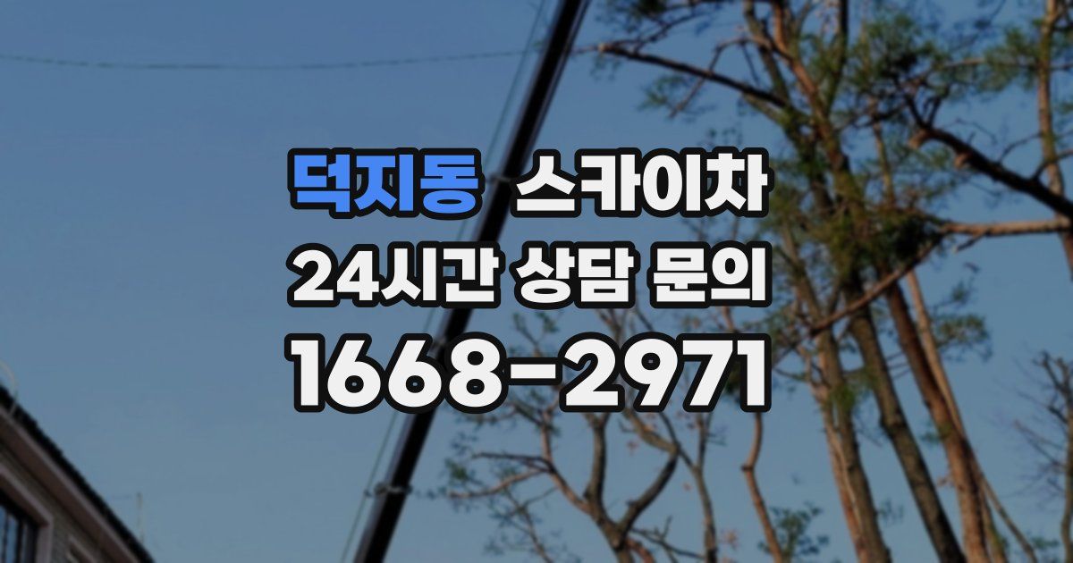 덕지동 스카이차