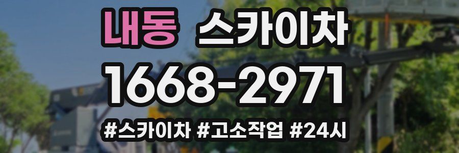 내동 스카이차