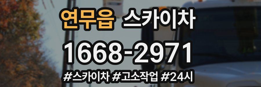 연무읍 스카이차
