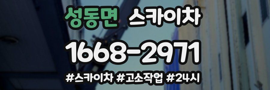 성동면 스카이차