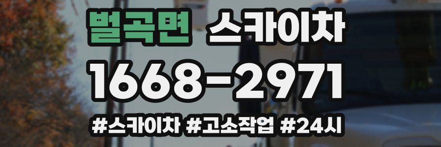벌곡면 스카이차