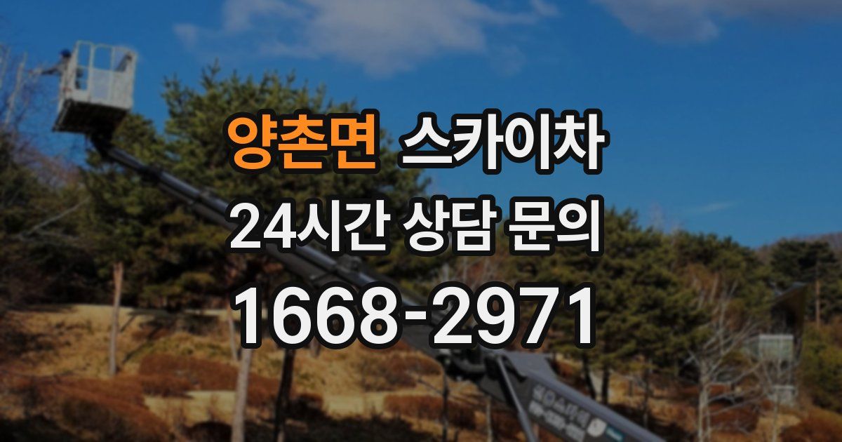 양촌면 스카이차