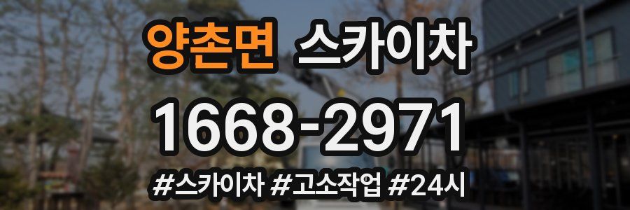 양촌면 스카이차