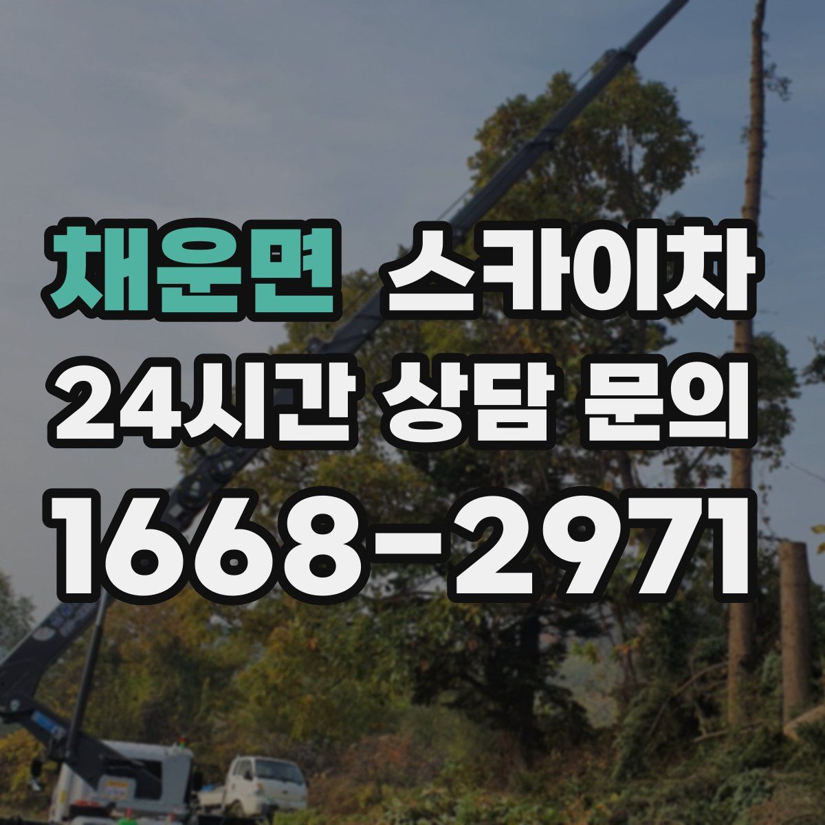 채운면 스카이차