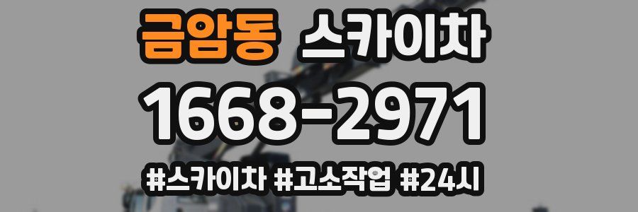 금암동 스카이차