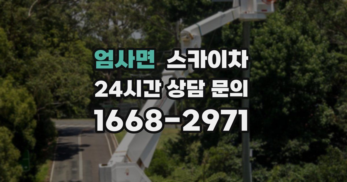 엄사면 스카이차