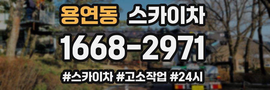 용연동 스카이차