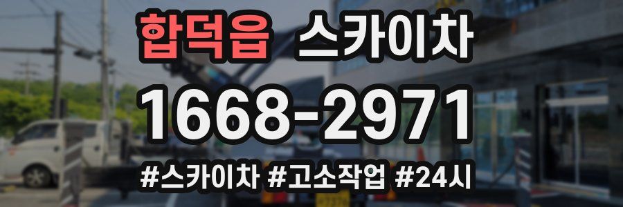 합덕읍 스카이차