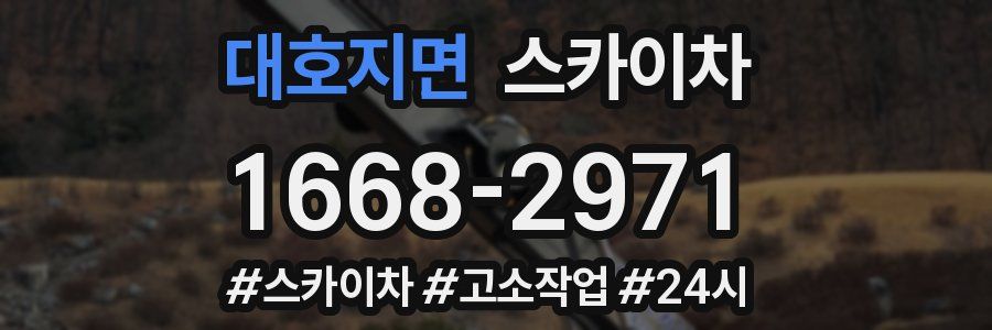 대호지면 스카이차