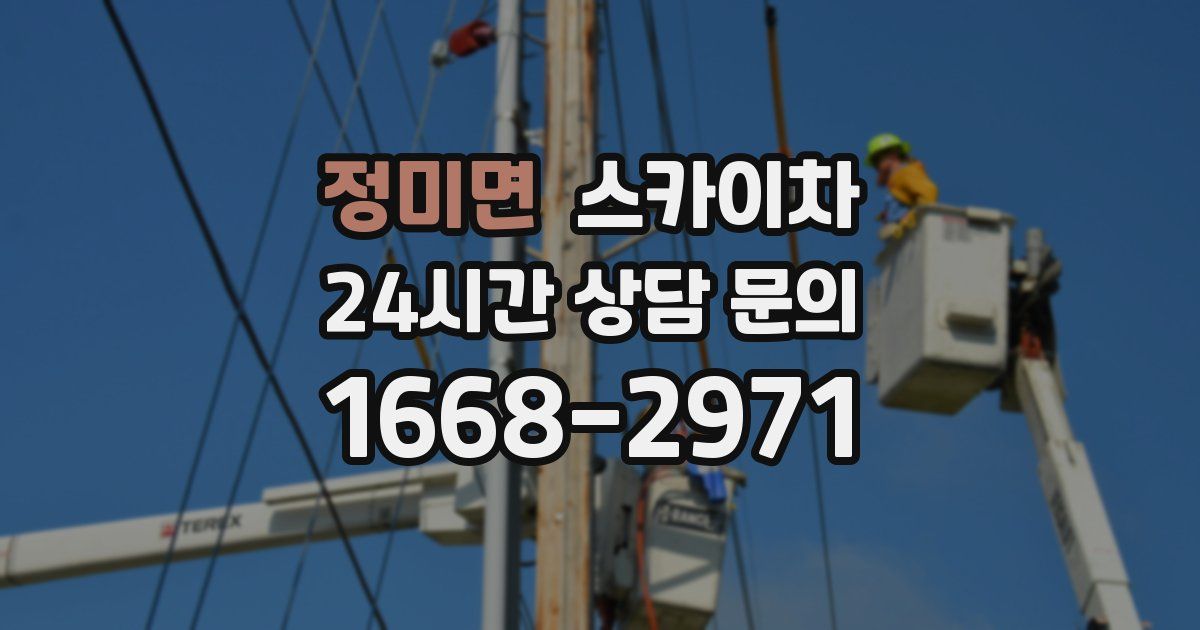 정미면 스카이차