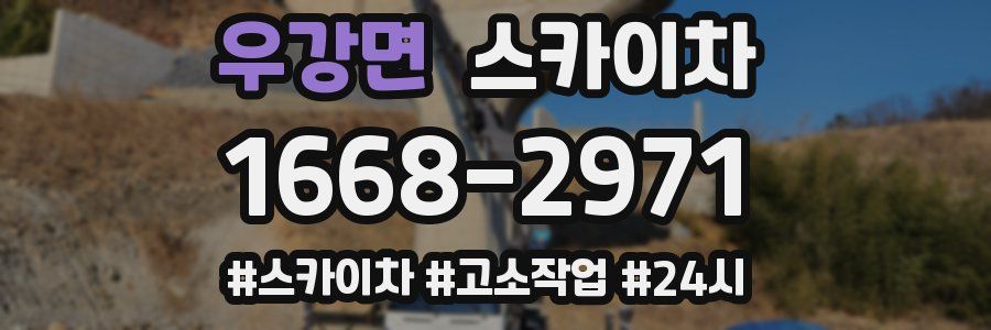 우강면 스카이차