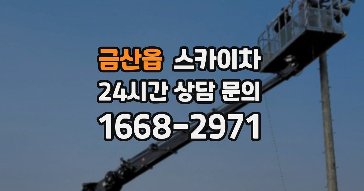 금산읍 스카이차