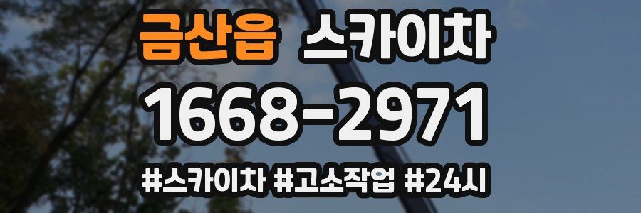 금산읍 스카이차