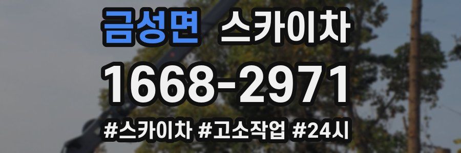 금성면 스카이차