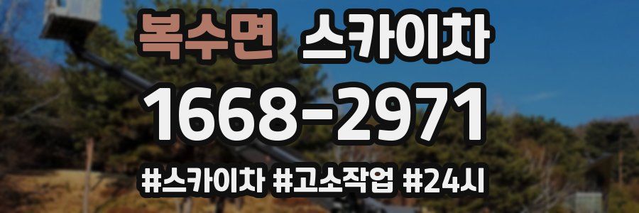 복수면 스카이차