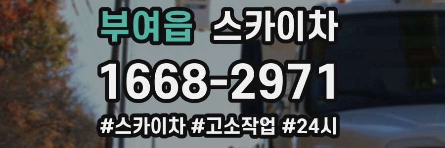 부여읍 스카이차