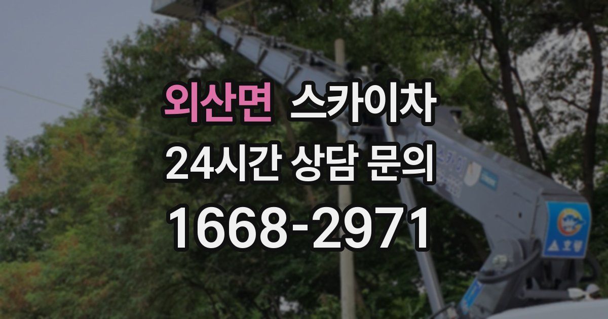 외산면 스카이차