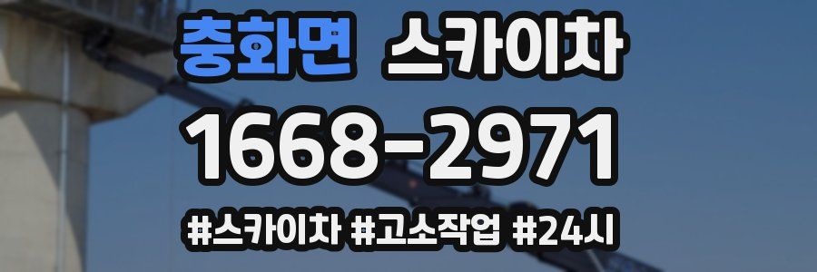 충화면 스카이차