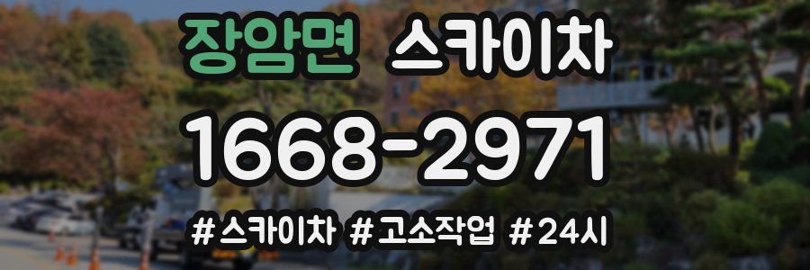 장암면 스카이차