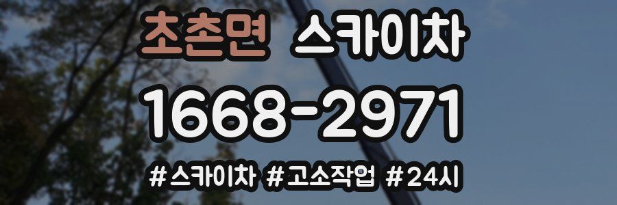 초촌면 스카이차