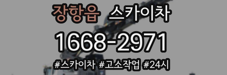장항읍 스카이차