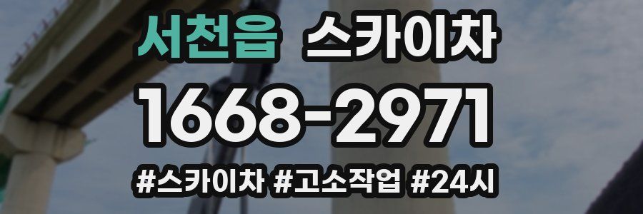 서천읍 스카이차