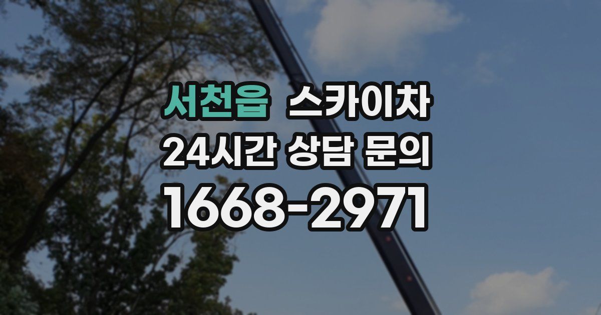 서천읍 스카이차