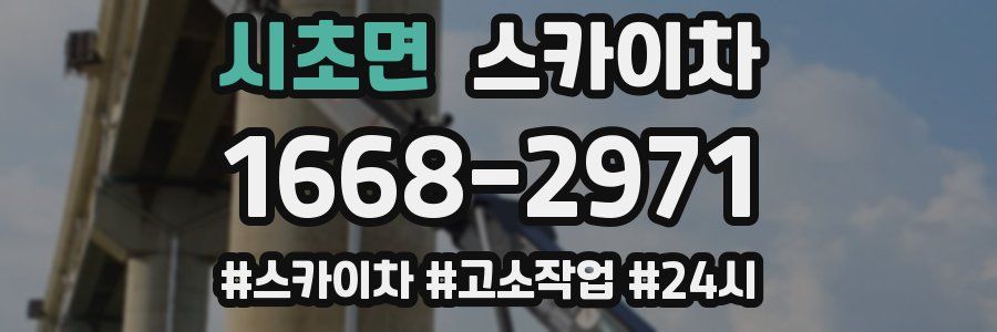 시초면 스카이차