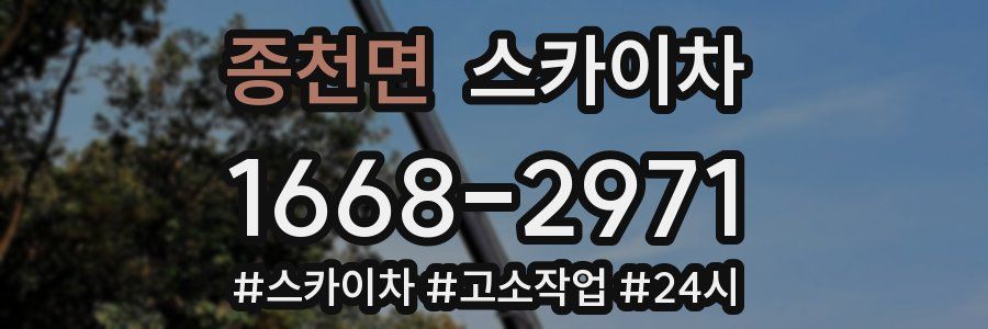 종천면 스카이차