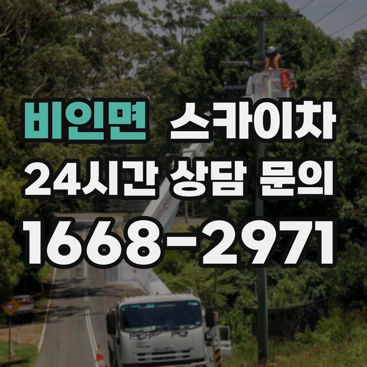 비인면 스카이차