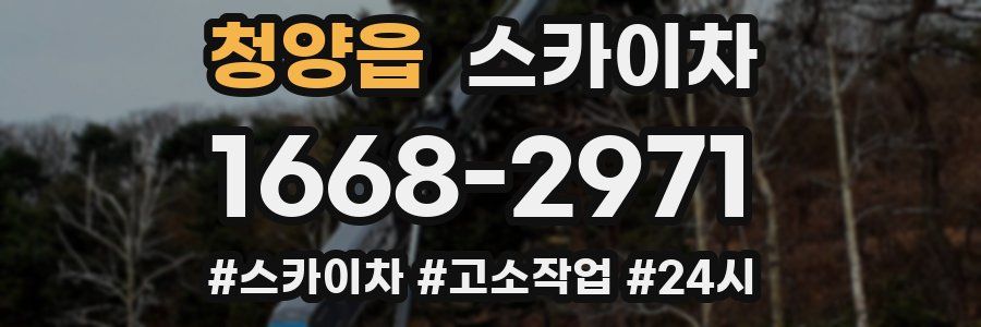 청양읍 스카이차